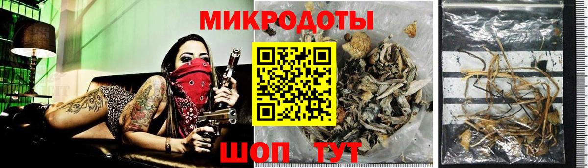 Галлюциногенные грибы MAGIC MUSHROOMS Волгоград